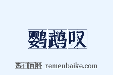 鹦鹉叹是什么意思的图片